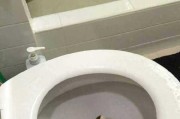 为什么猫不离开马桶？（揭秘猫咪对马桶的奇特喜爱）