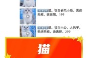 猫咪绝育（绝育风险与好处、坏处分析）