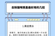 如何训练胆小猫不再胆小？（从宠物的角度出发，让你的猫咪自信起来！）