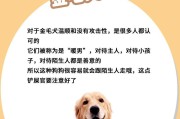 改掉八哥犬的恶习（培养良好的宠物习惯）