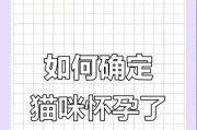 如何通过猫咪来测试怀孕的时间？（探寻猫咪怀孕周期的迹象与方法）