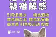 解决猫咪便秘的有效药物及护理方法（帮助猫咪畅通肠道的药物和食物、通过改变饮食习惯预防便秘）