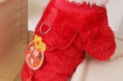 泰迪犬的冬季穿衣指南（冬天来了，你的泰迪犬需要穿衣服吗？）