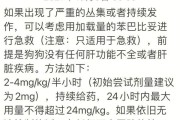 狗狗癫痫症状及治疗方法解析