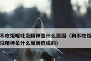 狗狗厌食怎么办？解决厌食问题的15个方法（宠物主人必读，教你如何帮助狗狗克服食欲问题）