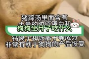 如何科学地喂养幼犬（幼犬喂养全攻略，一文解答你的所有问题）