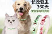 如何利用猫驱虫（以宠物为主，健康为重）