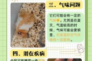 小仓鼠的繁殖周期及生育规律（探究小仓鼠的繁殖周期，了解其生育规律）
