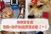 狗狗为什么会流鼻涕？（探究狗狗流鼻涕的原因和应对方法）