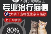 喂小猫吃药后呕吐的影响（小猫呕吐的原因及可能的健康问题）