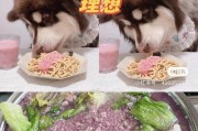 阿拉斯加干呕的治疗方法（解决干呕问题的有效药物及注意事项）