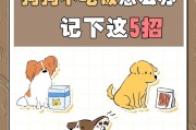 如何养好幼犬？六招让你成为贴心的狗主人（从幼狗抚养到成犬，这些技巧一定要掌握）