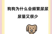 幼狗拉尿频率（培养幼狗正确的排尿习惯，提高生活质量）