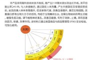 七彩吊的饲养指南（从选择到照顾，了解养护七彩吊的关键）