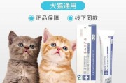 猫咪凝胶（以猫咪凝胶为主的宠物保健指南）