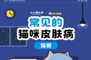 预防和治疗人感染猫癣的有效方法（掌握关键饮食和生活习惯，远离猫癣烦恼）