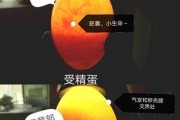 公狗拆蛋后的巨大变化（一只母狗让公狗焕然一新，走向新生活）