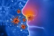 嗅觉与记忆（嗅觉记忆的神奇力量及其与情感、学习、健康的关系）