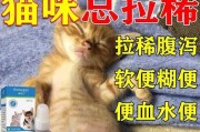宠物呕吐的药物治疗方法（安全有效的药物治疗能帮助宠物摆脱呕吐困扰）