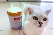 宠物猫咪的奶粉怎么冲？（猫咪奶粉的配比及食用量）