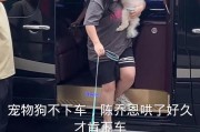 打完狗狗后多久可以哄她？（如何正确处理打狗行为，恢复狗狗的情绪）