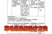 中华草龟的理想食物（科学喂养中华草龟，让它们健康成长）