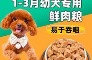 狗粮干粮和湿粮有什么区别？（探究宠物健康饮食的秘密）