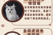 缅因猫的花色对价格的影响（探究不同花色缅因猫的市场价值）