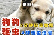 狗狗驱虫后，多久能拉出虫体？（了解狗狗驱虫时间，保护宠物健康）