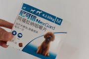 治疗狗狗脑炎的最佳方法（以何种方式才能最有效地治疗狗狗脑炎？）