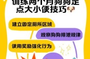两个月幼犬的排便周期及注意事项（了解幼犬的排便频率和保持健康）