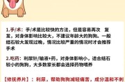 狗狗肾功能不良的症状及解决方法（保护狗狗肾脏健康，提前预防肾功能损害）